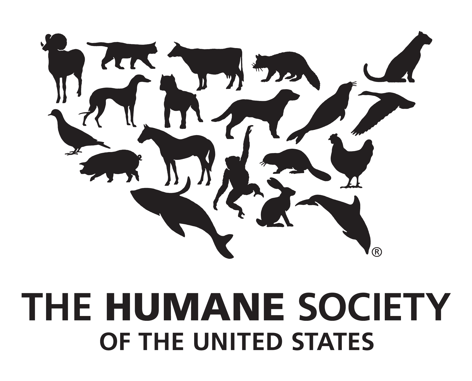 https://img-s8.s3.us-west-2.amazonaws.com/wp-content/uploads/sites/11/2021/12/HumaneSocietyLogo.png